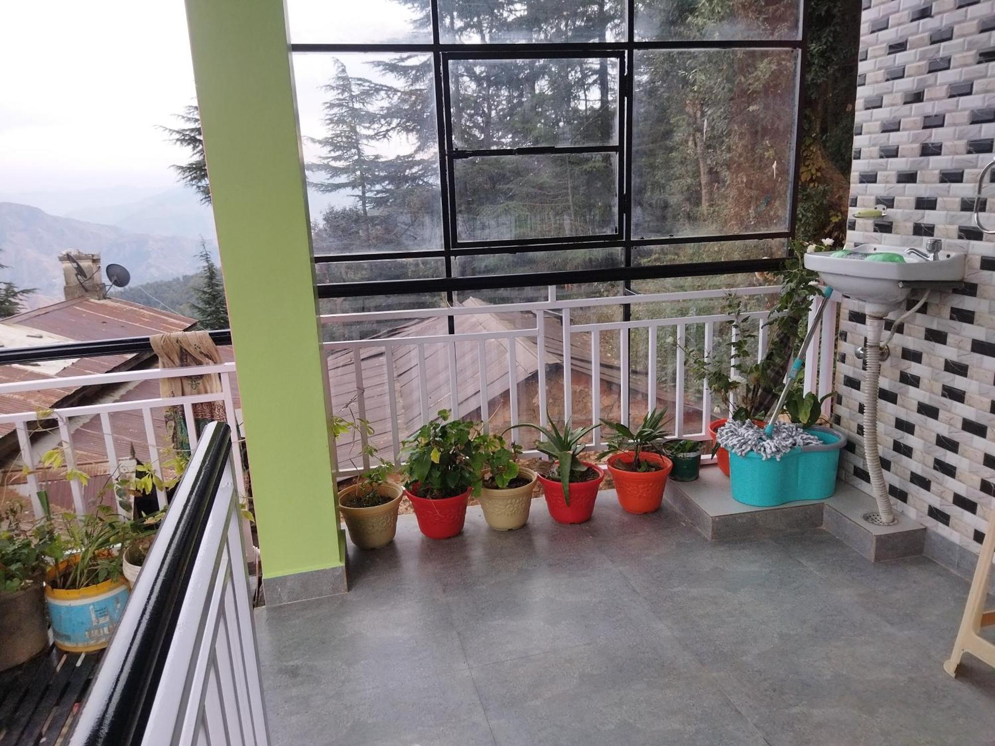Tree Valley Homestay Chail Buitenkant foto