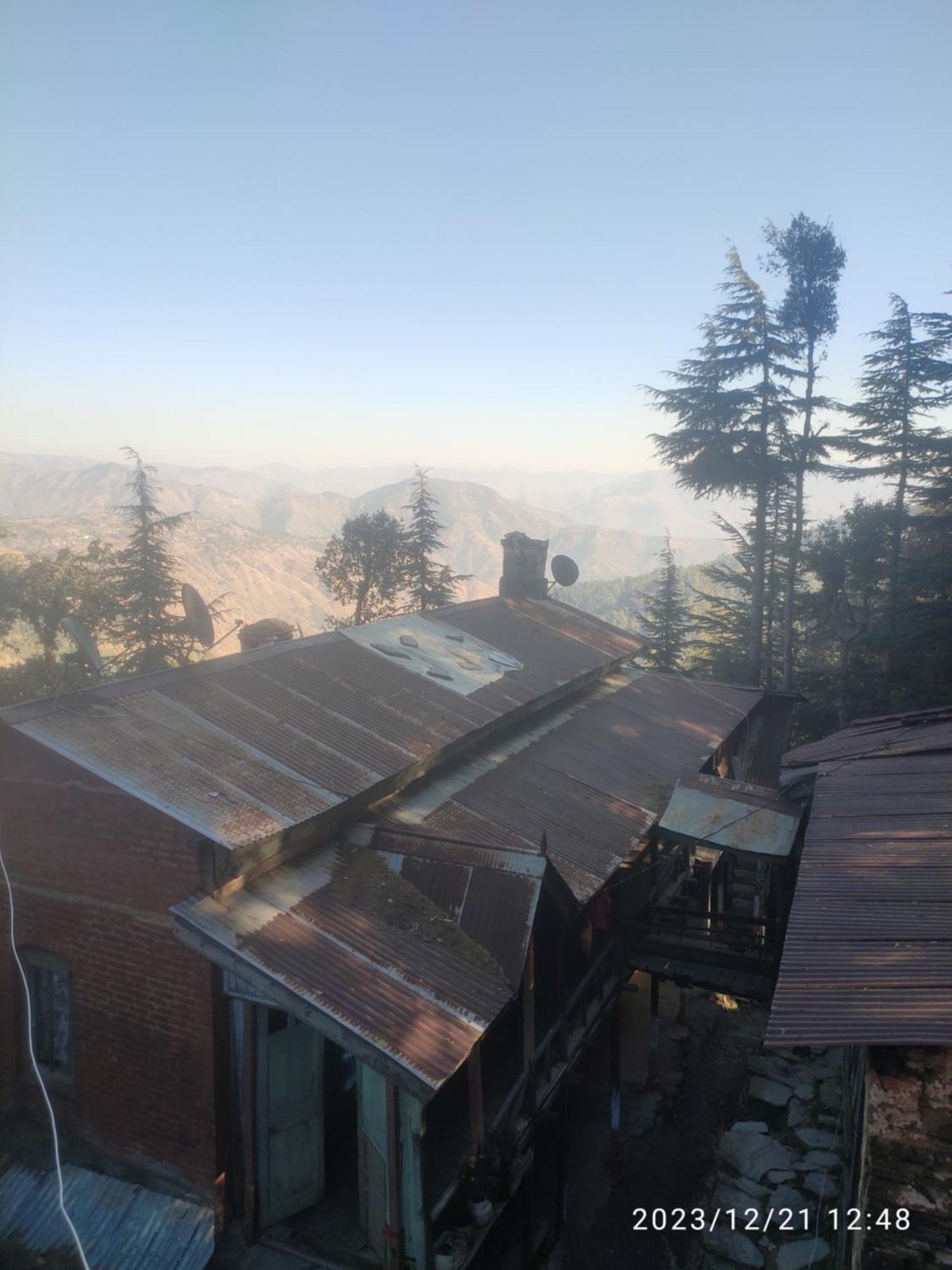 Tree Valley Homestay Chail Buitenkant foto