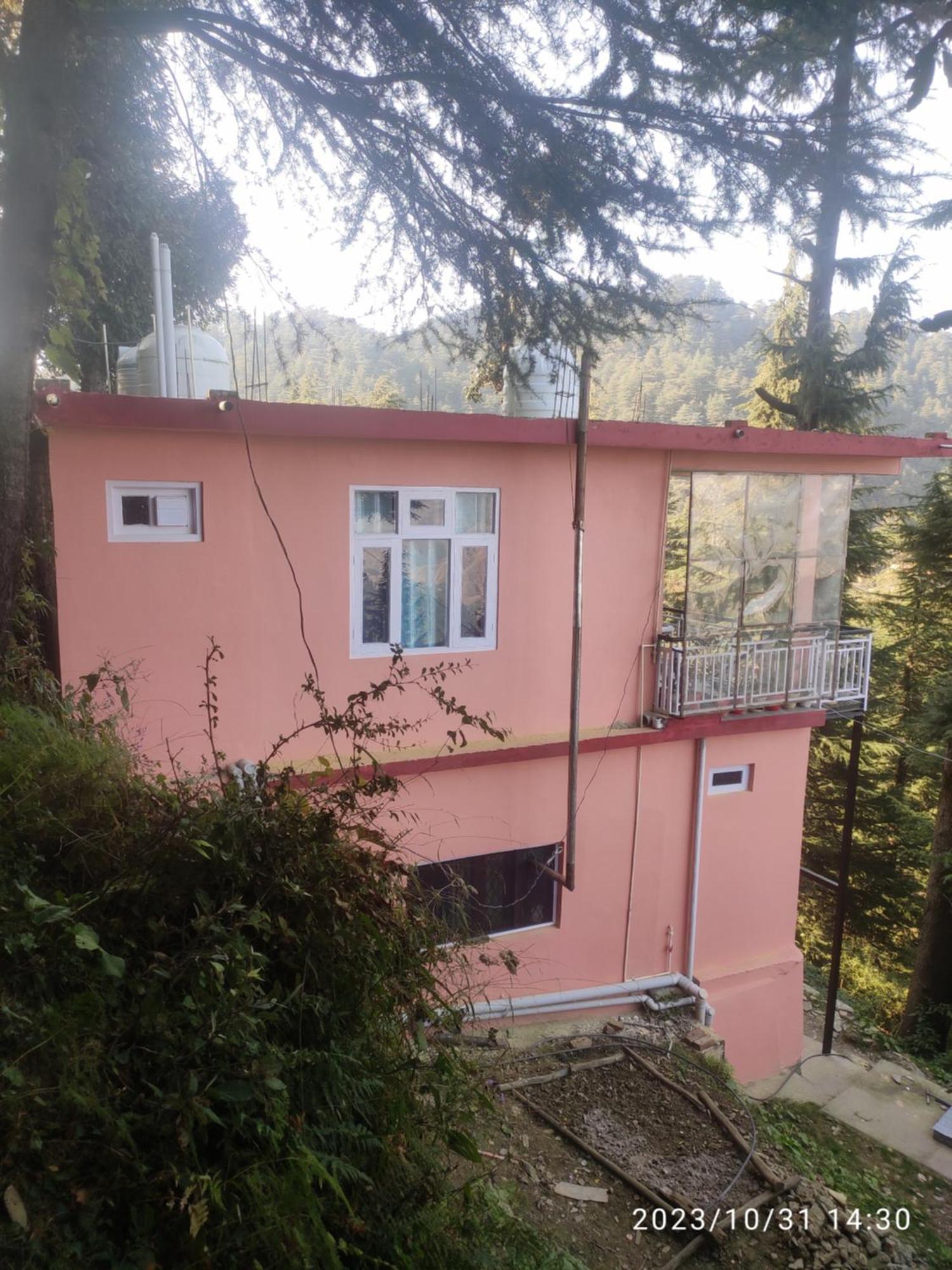 Tree Valley Homestay Chail Buitenkant foto