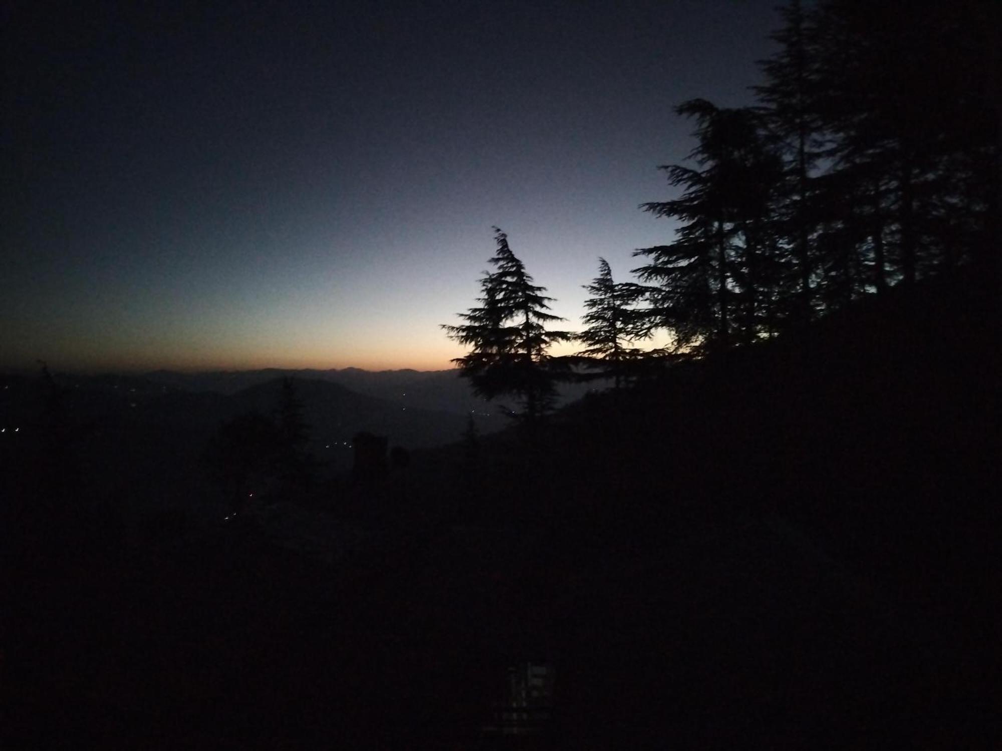 Tree Valley Homestay Chail Buitenkant foto