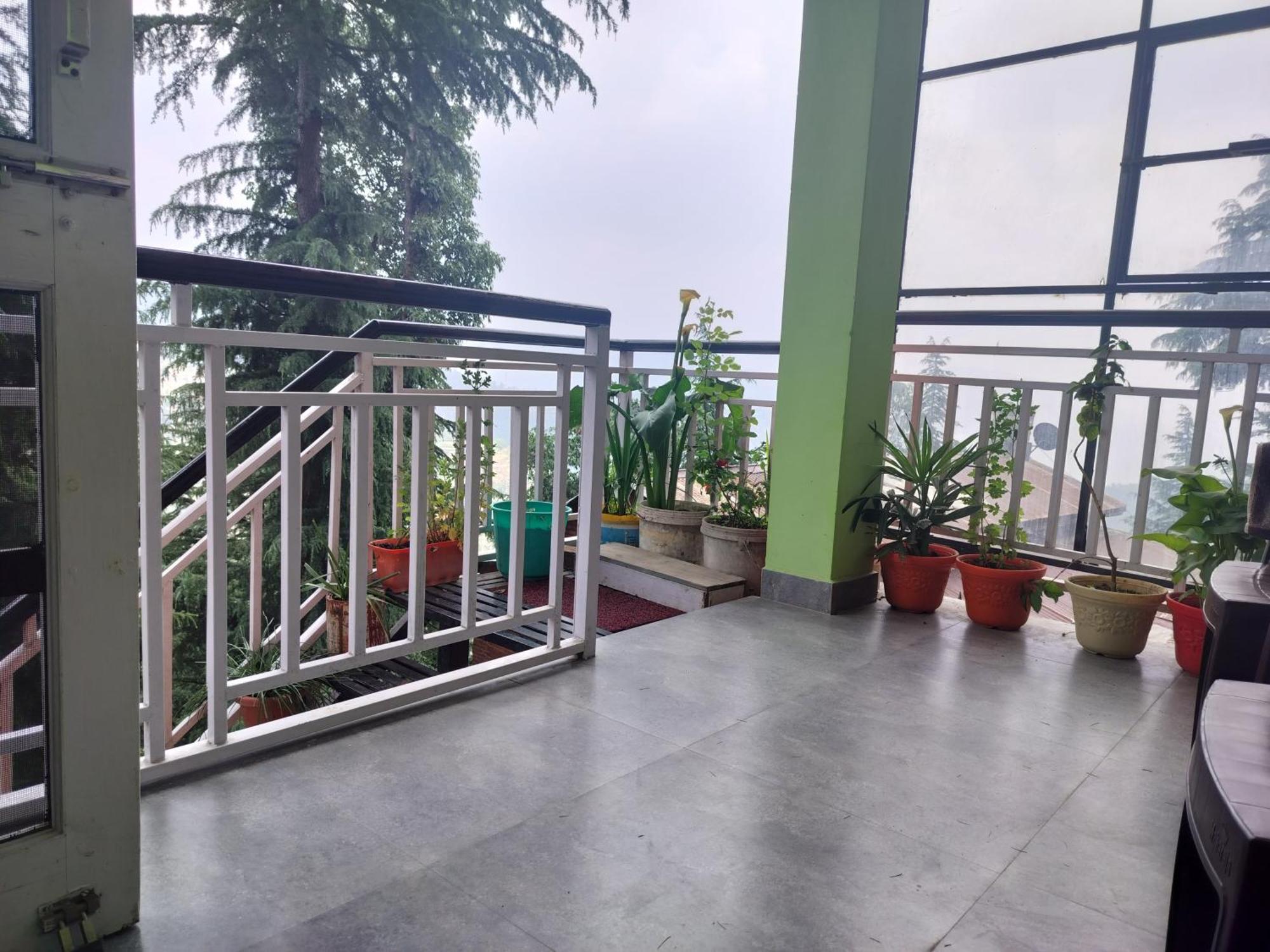 Tree Valley Homestay Chail Buitenkant foto