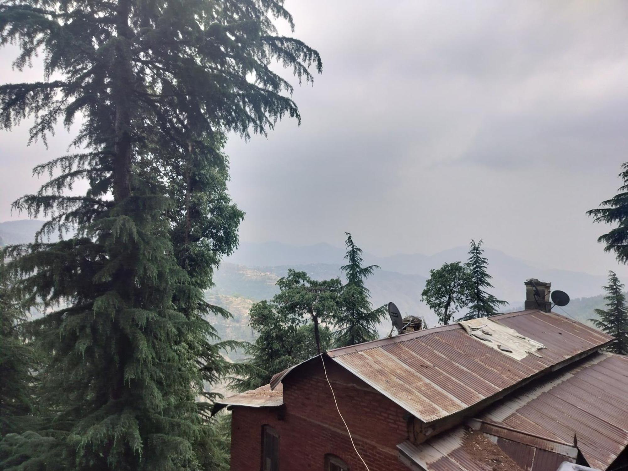Tree Valley Homestay Chail Buitenkant foto