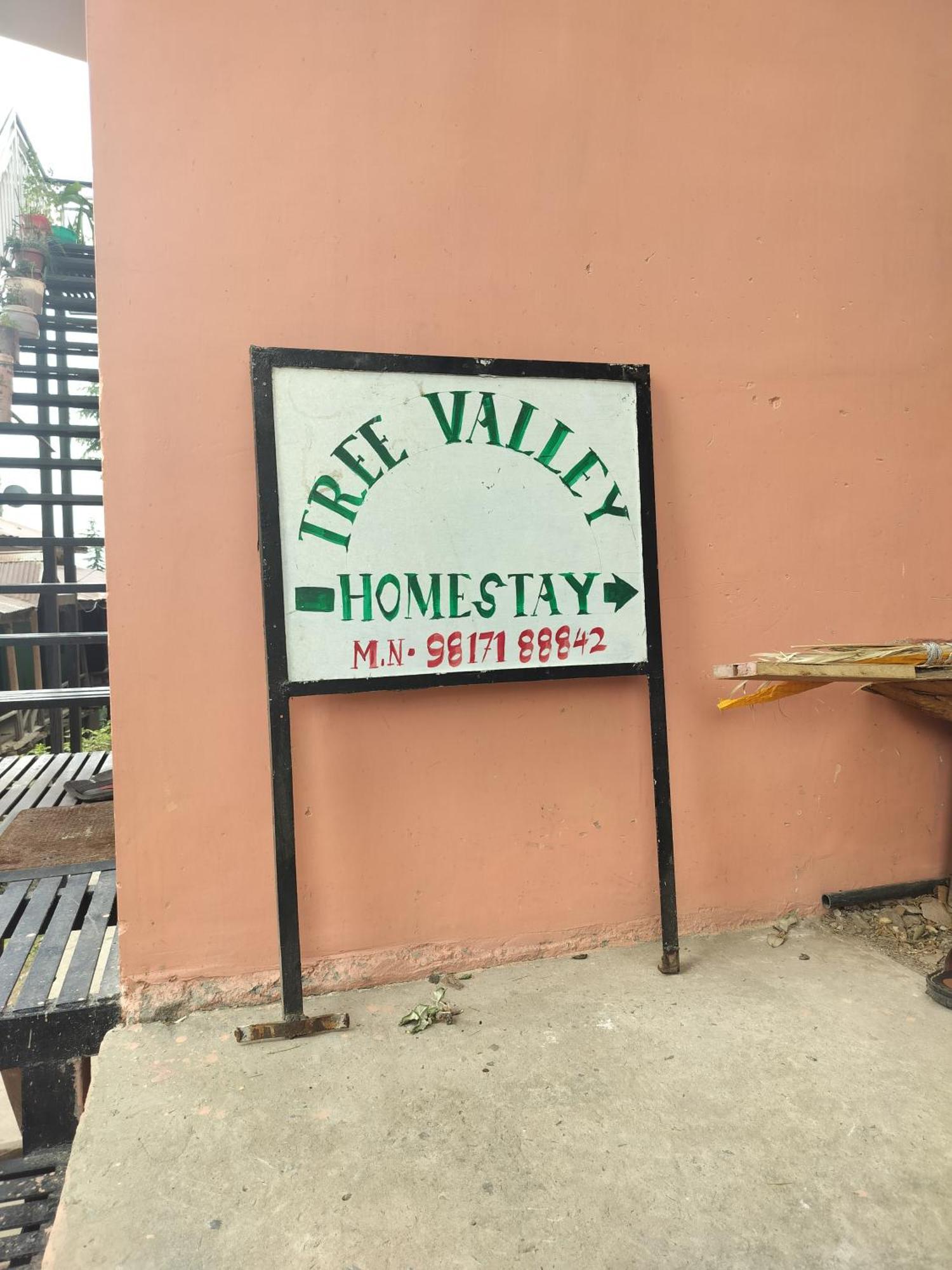 Tree Valley Homestay Chail Buitenkant foto