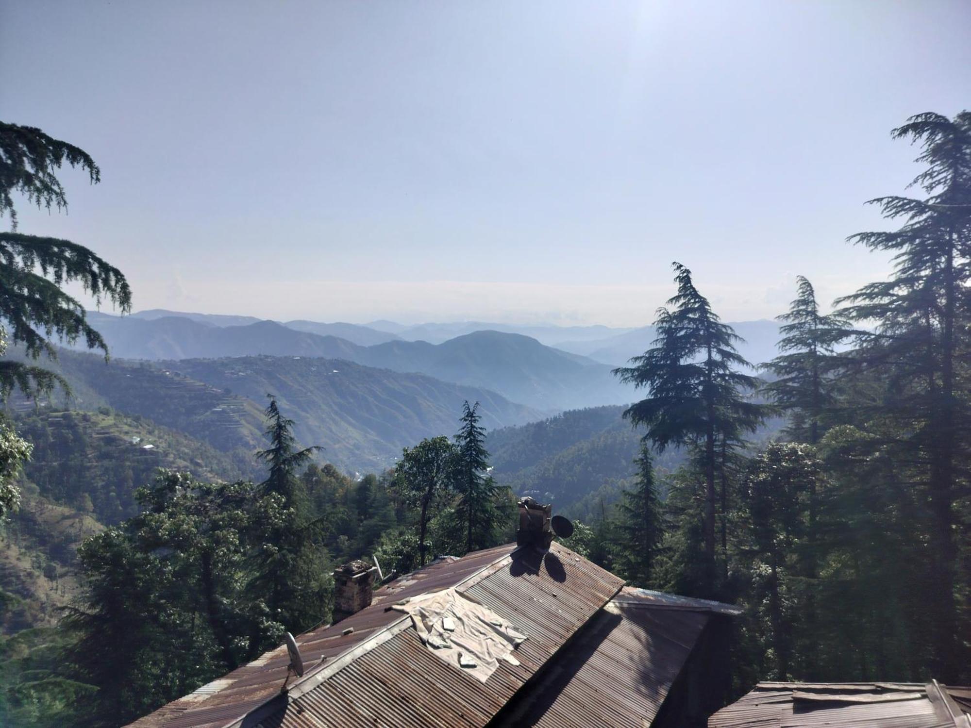 Tree Valley Homestay Chail Buitenkant foto