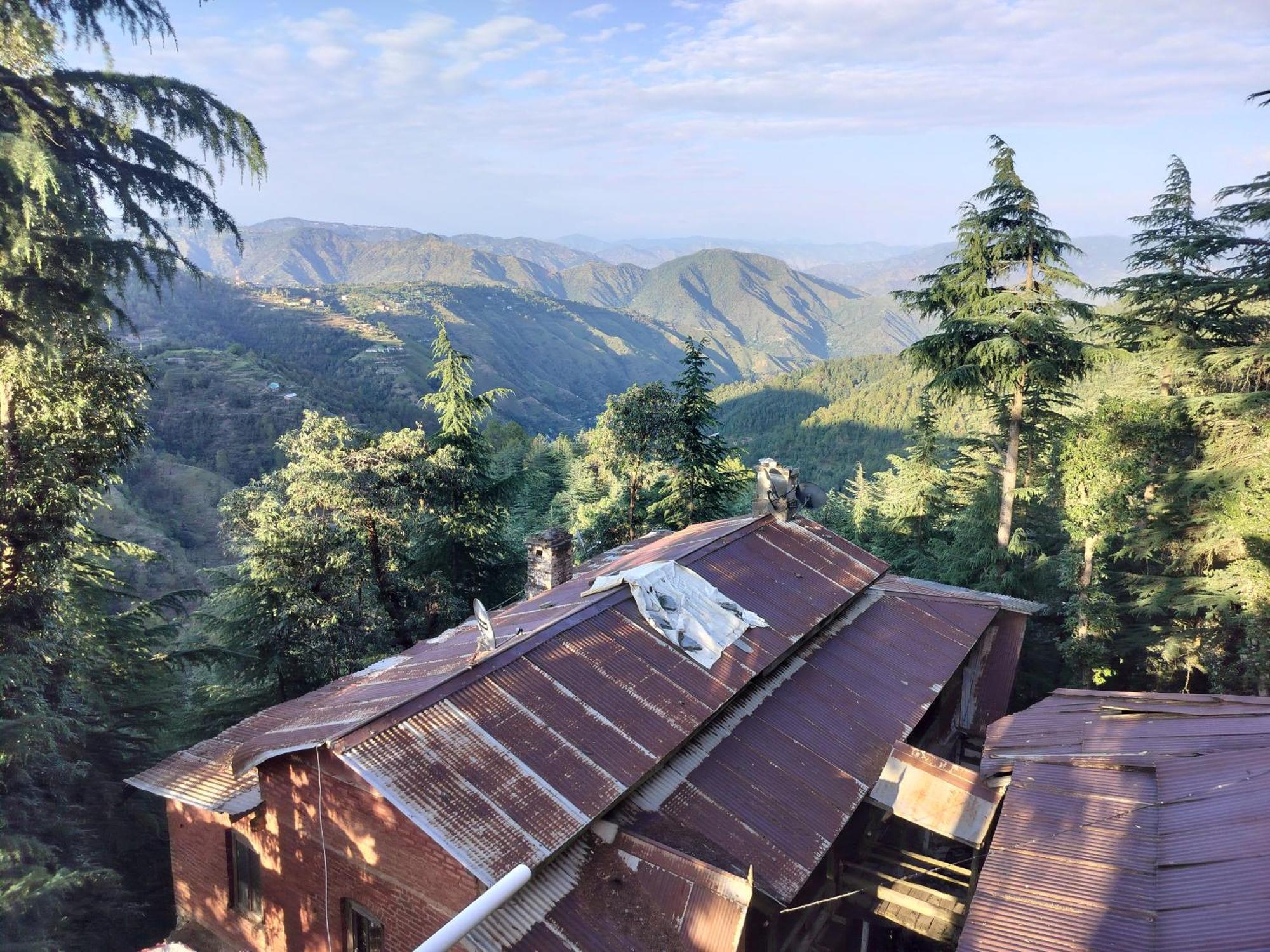 Tree Valley Homestay Chail Buitenkant foto