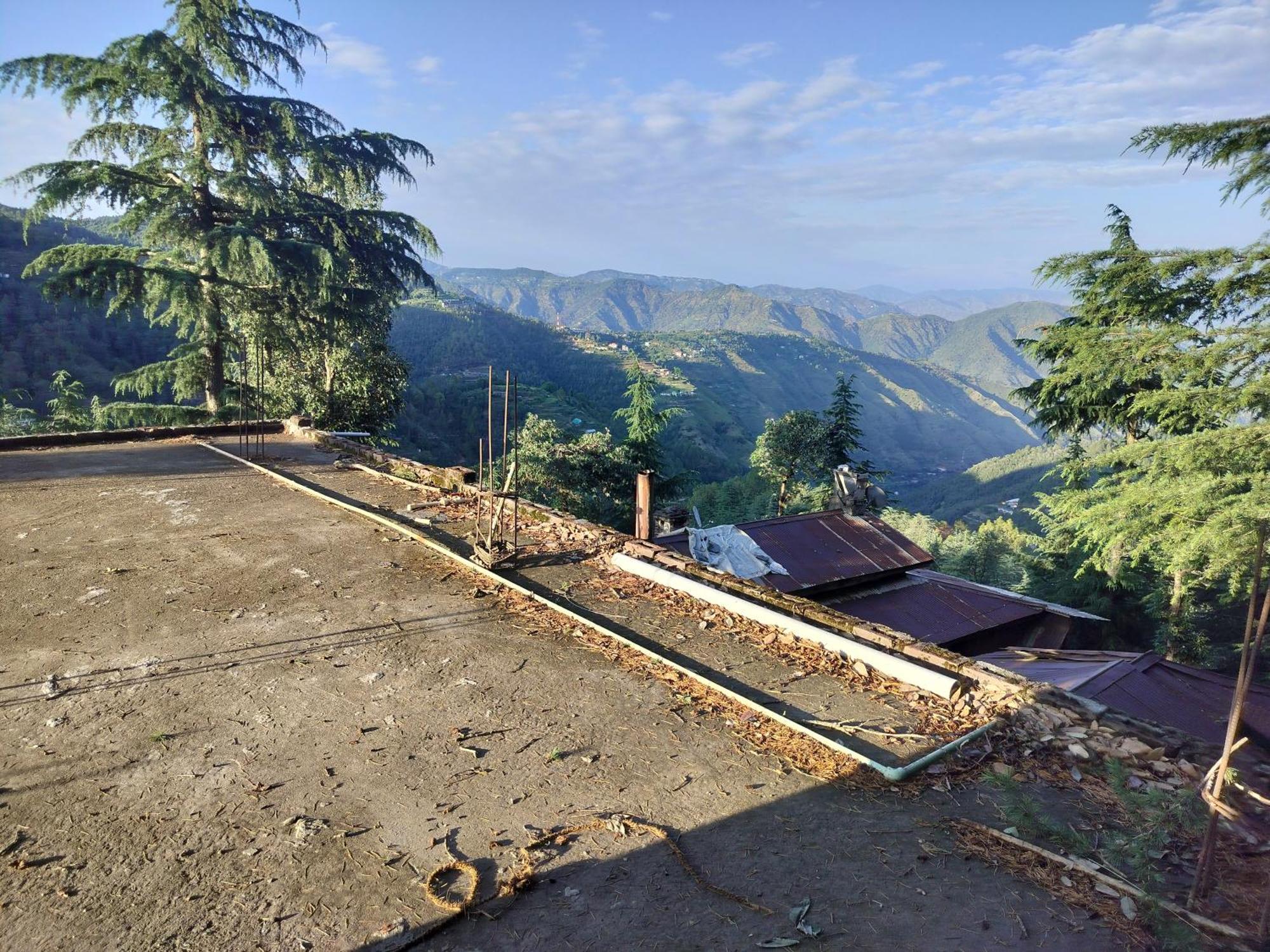 Tree Valley Homestay Chail Buitenkant foto