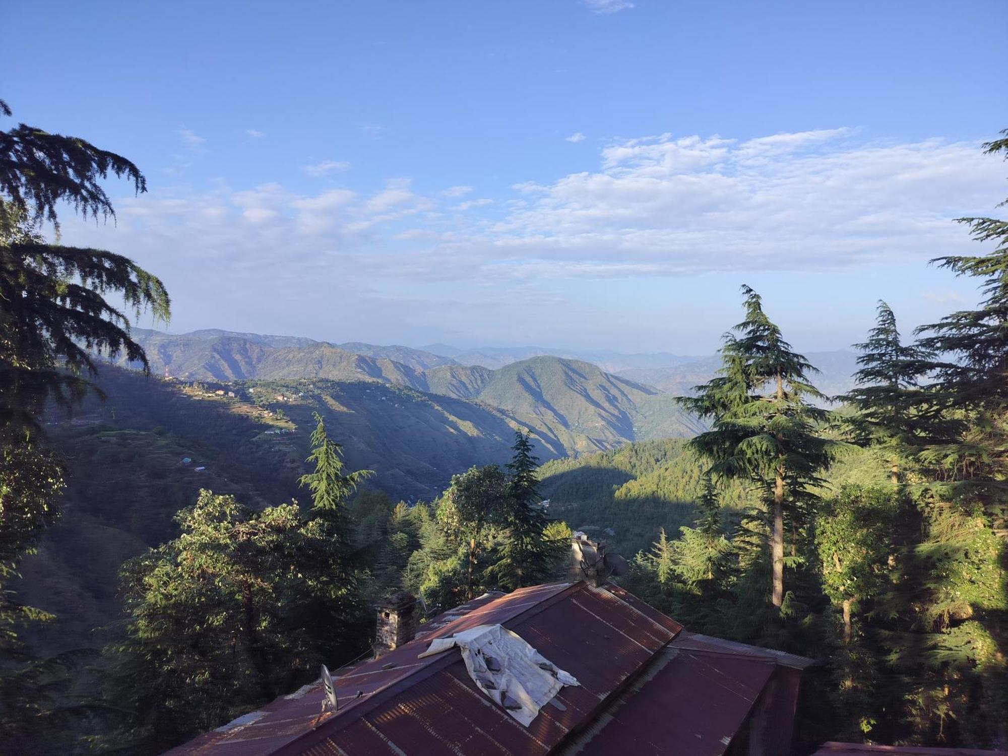 Tree Valley Homestay Chail Buitenkant foto
