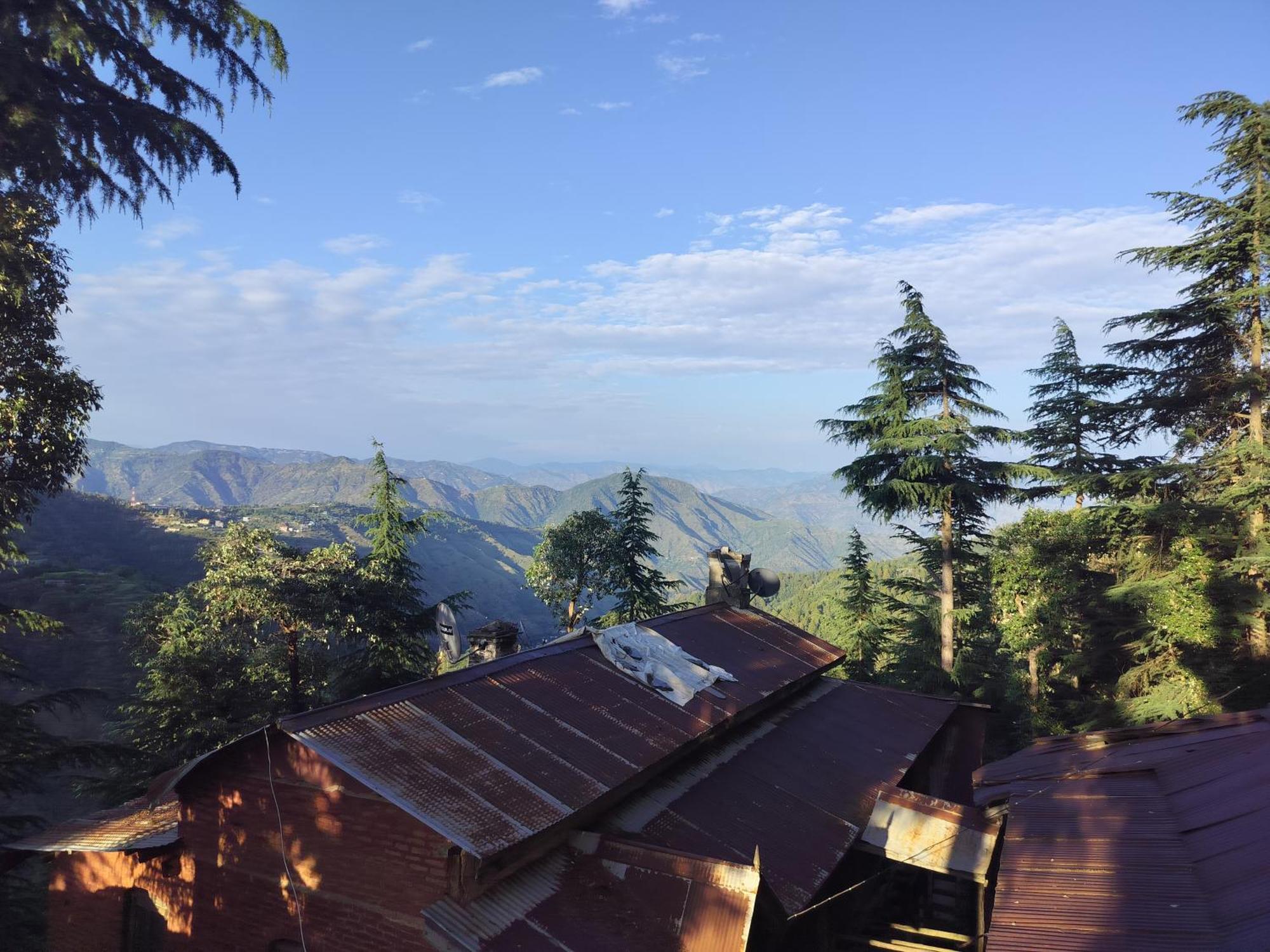 Tree Valley Homestay Chail Buitenkant foto
